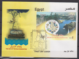 EGYPTE     2013       Premier Jour - Storia Postale