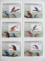 Sale! LUXE Cards Blocks OFFICIAL PRODUCT Comoros 2009 Animals Birds Oiseaux - Comoros