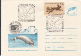 69962- BOWHEAD WHALE, ARCTIC WILDLIFE, RESEARCH PROGRAM, COVER STATIONERY, RABBIT STAMP, 1994, ROMANIA - Faune Arctique