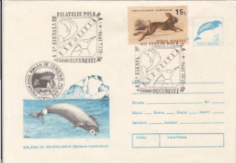 69962- BOWHEAD WHALE, ARCTIC WILDLIFE, RESEARCH PROGRAM, COVER STATIONERY, RABBIT STAMP, 1994, ROMANIA - Arctic Wildlife