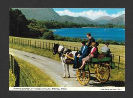 KILLARNEY -  IRELAND - TRADITIONAL JAUNTING CAR TOURING LOWER LAKE -  PHOTO  JOHN HINDE STUDIO - Clare