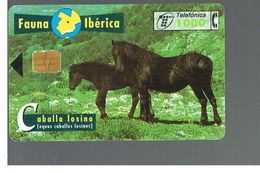 SPAGNA (SPAIN) - TELEFONICA  (CHIP) -  FAUNA IBERICA:  EQUUS CABALLUS LOSINUS        - USED - RIF. 10008 - Horses