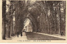 SCEAUX - Parc - Allée De La Duchesse - Sceaux