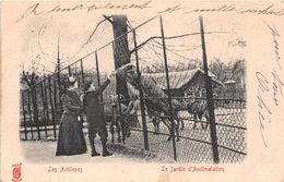 ¤¤  -   PARIS   -  Le Jardin D'Acclimatation   -   Les Antilopes    -   ¤¤ - Arrondissement: 16