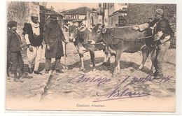 Albanie -  Costumi   -  Gros Plan - RARE - Superbe -  CPA° - Albanie