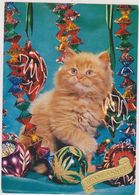 CARTE,BONNE ANNEE AVEC CHAT,CAT,CHATON,POILU,POILS  ROUX,GUIRLANDES,FETE,PORTE BONHEUR - New Year