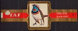 Blue Chest / Blauw Borst  - Bird Birds - Belgium Belgique - TAF - CIGAR CIGARS Label Vignette - Labels