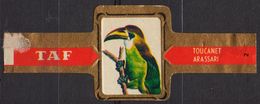 Toucanet / Arassari - Bird Birds - Belgium Belgique - TAF - CIGAR CIGARS Label Vignette - Etiquetas