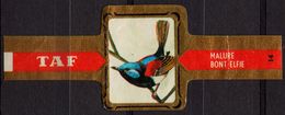 Bont Elfje / Malure - Bird Birds - Belgium Belgique - TAF - CIGAR CIGARS Label Vignette - Etiquettes