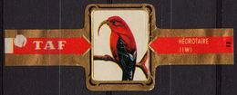 Jiwi / Heorotaire - Bird Birds - Belgium Belgique - TAF - CIGAR CIGARS Label Vignette - Labels