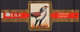 Serpentaire / Eagle - Bird Birds - Belgium Belgique - TAF - CIGAR CIGARS Label Vignette - Labels