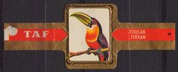 Toekan / Toucan - Bird Birds - Belgium Belgique - TAF - CIGAR CIGARS Label Vignette - Labels