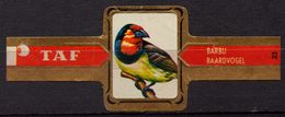 Barbet / Baardvogel - Bird Birds - Belgium Belgique - TAF - CIGAR CIGARS Label Vignette - Etiquettes