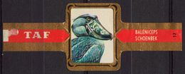 Schoenbek / Shoebill - Bird Birds - Belgium Belgique - TAF - CIGAR CIGARS Label Vignette - Etichette