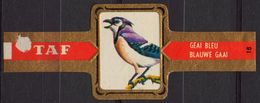 Blue Jay / Blauwe Gaai - Bird Birds - Belgium Belgique - TAF - CIGAR CIGARS Label Vignette - Etiketten