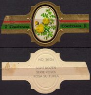 Sulfurea - ROSE ROSES - Netherlands Holland / Cogétama / CIGAR CIGARS Label Vignette - Etiquetas