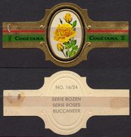 Buccaneer - ROSE ROSES - Netherlands Holland / Cogétama / CIGAR CIGARS Label Vignette - Etichette