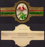 Centifolia Foleacea - ROSE ROSES - Netherlands Holland / Cogétama / CIGAR CIGARS Label Vignette - Labels