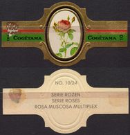 Muscosa Multiplex - ROSE ROSES - Netherlands Holland / Cogétama / CIGAR CIGARS Label Vignette - Etiquettes