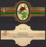 Gallica Pontiana - ROSE ROSES - Netherlands Holland / Cogétama / CIGAR CIGARS Label Vignette - Etiquetas