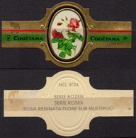 Redinata Flore Sub Multiplici - ROSE ROSES - Netherlands Holland / Cogétama / CIGAR CIGARS Label Vignette - Labels