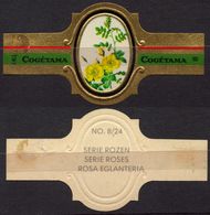 Eglanteria - ROSE ROSES - Netherlands Holland / Cogétama / CIGAR CIGARS Label Vignette - Etiketten