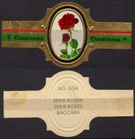 Baccara - ROSE ROSES - Netherlands Holland / Cogétama / CIGAR CIGARS Label Vignette - Labels