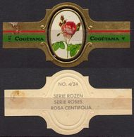 Centifolia  - ROSE ROSES - Netherlands Holland / Cogétama / CIGAR CIGARS Label Vignette - Etiketten