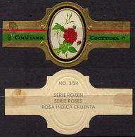 Indica Cruenta  - ROSE ROSES - Netherlands Holland / Cogétama / CIGAR CIGARS Label Vignette - Etiquettes