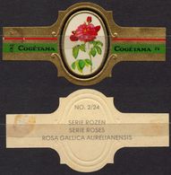 Gallica Aurelianensis  - ROSE ROSES - Netherlands Holland / Cogétama / CIGAR CIGARS Label Vignette - Etiquettes