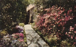 Alabama Mobile Path To Bellingrath Home Bellingrath Gardens - Mobile