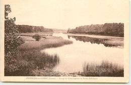 DEP 45 OUZOUER SUR LOIRE ETANG DE COURCAMBON - Ouzouer Sur Loire