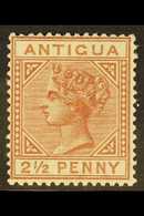 1882 2½d Red Brown, Watermark Crown CA, SG 22, Very Fine Mint. For More Images, Please Visit Http://www.sandafayre.com/i - Other & Unclassified