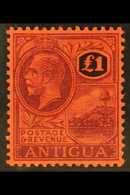 1921-29 £1 Purple And Black / Red, SG 61, Very Fine Mint. For More Images, Please Visit Http://www.sandafayre.com/itemde - Other & Unclassified