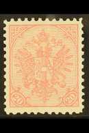 AUSTRO-HUNGARIAN MILITARY POST 1900-01 20h Pink, Perf.10½, Mi 16B, SG 171, Light Corner Crease, Otherwise Fine Mint. For - Other & Unclassified