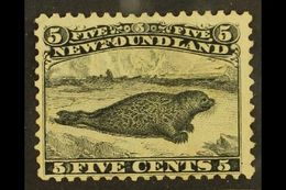 1868-73 5c Black MAJOR RE-ENTRY Position 13 (Unitrade 26, SG 38), Unused No Gum, Small Thin. This Is Probably The Most D - Other & Unclassified
