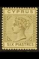 1892-94 6pi Olive-grey Die II, SG 36, Fine Mint, Lovely Fresh Colour. For More Images, Please Visit Http://www.sandafayr - Other & Unclassified