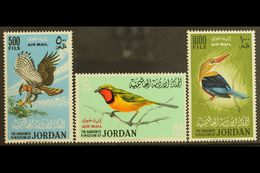 1964 150f - 1000f Birds Airpost Set, SG 627/9, Superb Never Hinged Mint. (3 Stamps) For More Images, Please Visit Http:/ - Jordanien