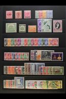 SELANGOR 1885 - 1970 Fresh Mint Selection Generally Sparse To 1948 Then Complete To 1970 Complete. (79 Stamps) For More  - Other & Unclassified