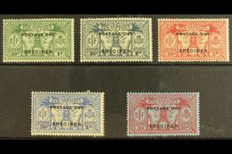 POSTAGE DUES 1925 Overprint Set, Additionally Ovptd £Specimen", SG D1s/5s, Very Fine Mint. (5 Stamps) For More Images, P - Other & Unclassified