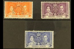 1937 Coronation Complete Set Perforated "SPECIMEN", SG 185s/187s, Very Fine Mint. (3 Stamps) For More Images, Please Vis - Sierra Leona (...-1960)