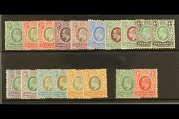 1905-11 Set, SG 45/59, Plus Additional Chalky Paper Values, Fresh Mint. (18) For More Images, Please Visit Http://www.sa - Somalilandia (Protectorado ...-1959)