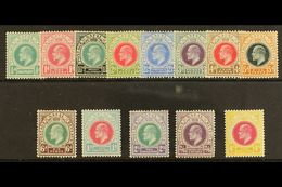 NATAL 1902 - 04 Ed VII Postage Revenue Set To 4s Complete, SG 127/38, Very Fine And Fresh Mint. (13 Stamps) For More Ima - Ohne Zuordnung