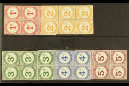 POSTAGE DUE 1957 Complete Set, SG D1/D5, As Never Hinged Mint Blocks Of 6. (30 Stamps) For More Images, Please Visit Htt - Tristan Da Cunha