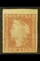 1879 TENDER ESSAY. An Imperf Essay Printed In Red-brown On Laid Paper, Inscribed "PROPOSED NEW STAMP", Similar To Charle - Other & Unclassified