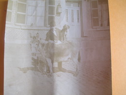 Photographie Sur Papier /Homme Au Chapeau Avec Ane Et Chien /1899  PHOTN329 - Oud (voor 1900)