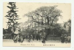 MARUYAMA PARK, KYOTO -  1900/20 - NV FP - Kyoto