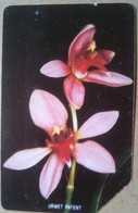 Orchids 50 Units - Sierra Leona