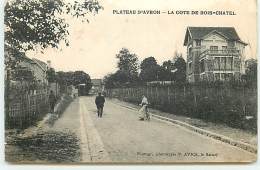 NEUILLY-PLAISANCE - Plateau D'Avron - La Côte De BOIS-CHATEL - Neuilly Plaisance
