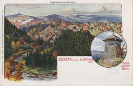 Litho AK Jocketa König Albert Höhe Alberthöhe Pavillon Huthaus A Pöhl Trieb Liebau Steinsdorf Jössnitz Röttis Vogtland - Poehl